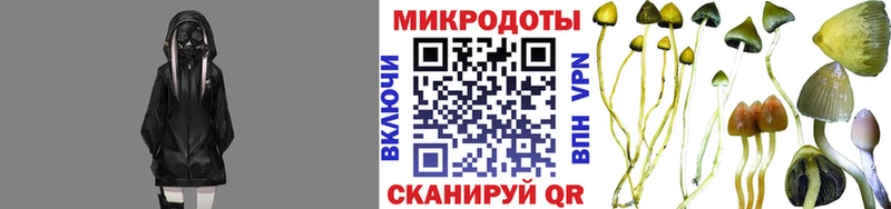 Купить закладки  Сим  Галлюциногенные грибы Cubensis 